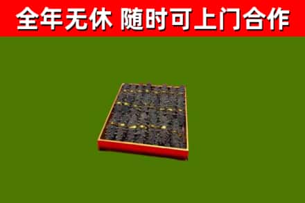 柘城回收海参